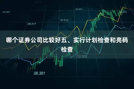 哪个证券公司比较好五、实行计划检查和亮码检查