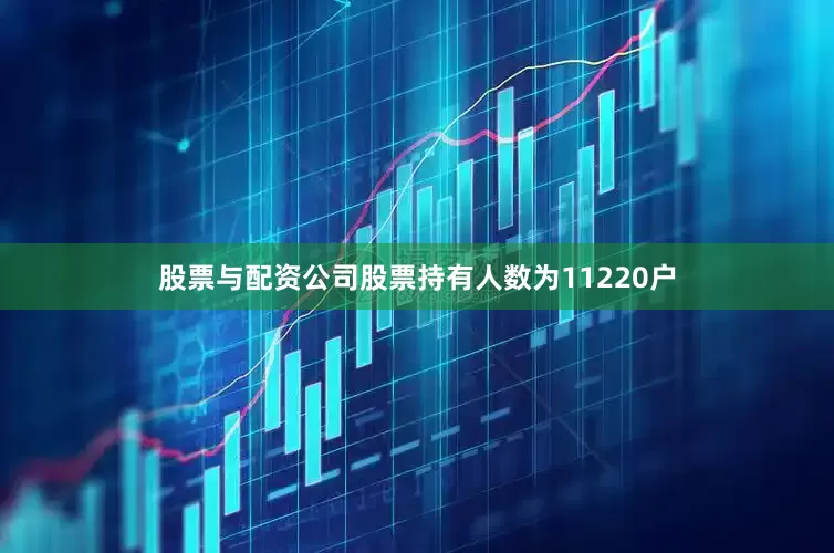 股票与配资公司股票持有人数为11220户