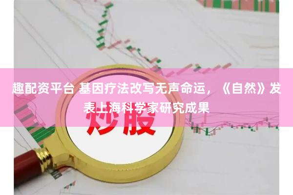 趣配资平台 基因疗法改写无声命运，《自然》发表上海科学家研究成果