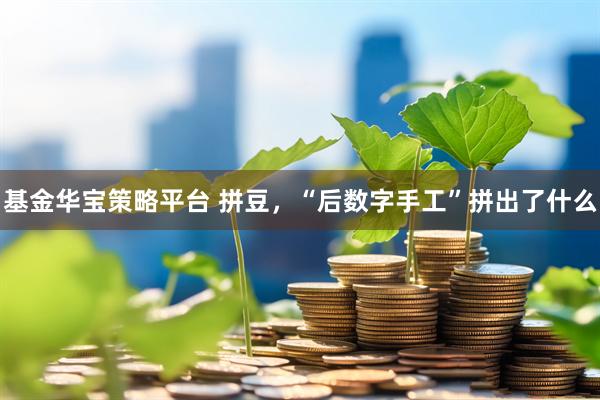 基金华宝策略平台 拼豆，“后数字手工”拼出了什么