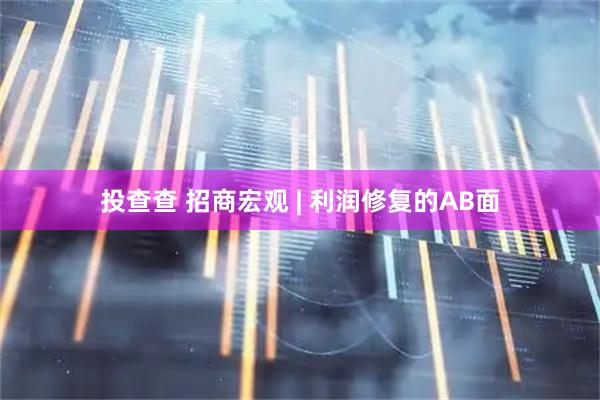 投查查 招商宏观 | 利润修复的AB面
